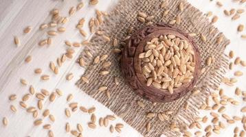 Crunchy Rusk or Toast for healthy life with wheat for breakfast. photo