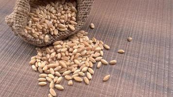 Crunchy Rusk or Toast for healthy life with wheat for breakfast. photo