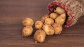 Fresh small potatoes for cooking in a wooden bowl. With copy space  on white background. photo