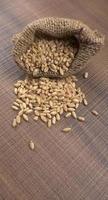Crunchy Rusk or Toast for healthy life with wheat for breakfast. photo