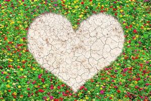 Heart-shaped field of common zinnia beautifully with green leaves growing on brown dry soil or cracked ground texture background.Love concept photo