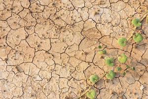 Brown dry soil or cracked ground texture background. photo