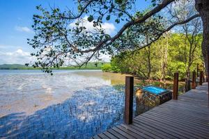 bridge wooden walking way in The forest mangrove and the sea the horizon in Chanthaburi Thailand. photo