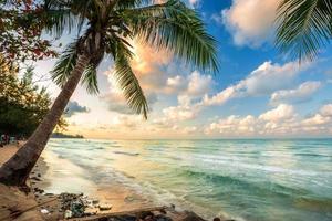 early morning sunrise over Coconut tree and Garbage on the beach with the sea the horizon at Hat chao lao beach in Chanthaburi Thailand. photo