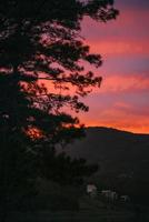 Sunset by the lake photo