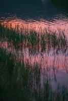 Sunset by the lake photo