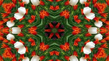 Flowers Flora Kaleidoscope photo