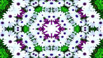 Flowers Flora Kaleidoscope photo