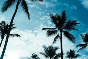 palmeras tropicales cocoteros en la llamarada del cielo al atardecer y el fondo de naturaleza bokeh. foto