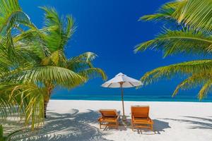 Tropical beach background as summer landscape with lounge chairs and palm trees and calm sea for beach banner photo