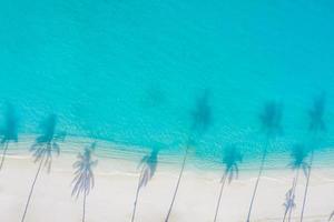 paisaje de playa aérea. Vista de la playa minimalista desde un avión no tripulado o un avión, sombras de palmeras en la arena blanca cerca del mar azul con hermosas ondulaciones y olas. banner de paisaje de playa de verano perfecto. exótico mar azul
