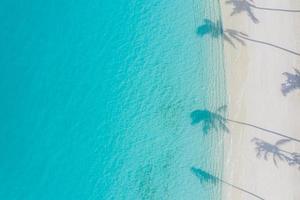 paisaje de playa aérea. Vista de la playa minimalista desde un avión no tripulado o un avión, sombras de palmeras en la arena blanca cerca del mar azul con hermosas ondulaciones y olas. banner de paisaje de playa de verano perfecto. exótico mar azul