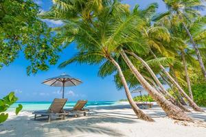 Beautiful tropical beach banner. White sand and coco palms travel tourism wide panorama background concept. Amazing beach landscape. Boost up color process. Luxury island resort vacation or holiday photo