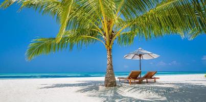 Beautiful tropical island scenery, two sun beds, loungers, umbrella under palm tree. White sand, sea view with horizon, idyllic blue sky, calmness and relaxation. Inspirational beach resort hotel