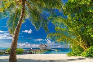 Beach resort Maldives landscape, tropic surf and horizontal sea as summer holiday vacation. Relax luxury hotel beach. Amazing sea view blue sea, exotic travel destination. Palm tree white sand vibes photo