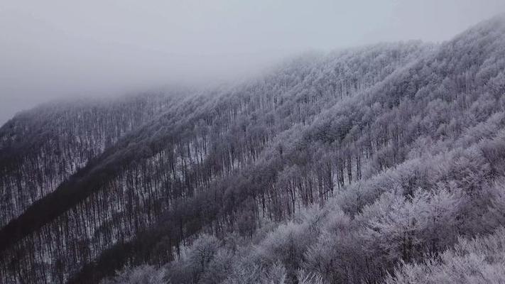 下雪影片