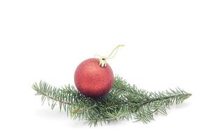 una bola roja en la rama de un árbol de Navidad aislado sobre fondo blanco. foto