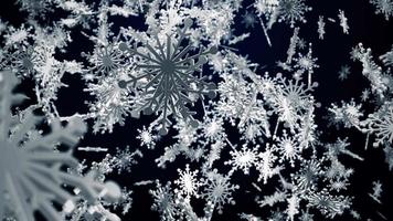 Falling white snowflake on dark blue background video