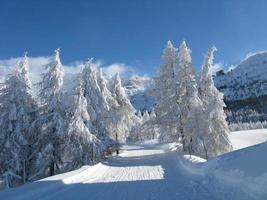 paisaje encantado después de fuertes nevadas foto