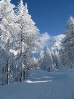 paisaje encantado después de fuertes nevadas foto