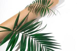 Palm tree shadow on white background photo