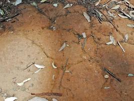 Texture of ferruginous red Ferralsol or laterite soil South Africa. photo