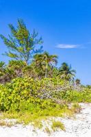 playa tropical mexicana cenote punta esmeralda playa del carmen mexico. foto