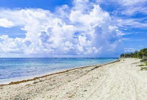 panorama de la playa tropical mexicana playa 88 playa del carmen mexico. foto