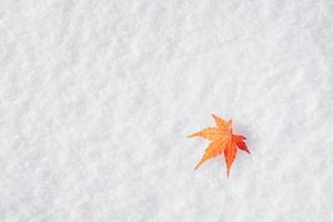 Colourful maple leave falling on fresh white snow ice at public park in Tokyo,Japan photo