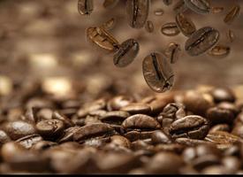 Cerca de granos de cafe