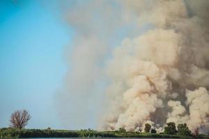 Large clouds of smoke, fire in nature. photo