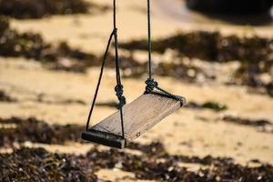 A swing hanging from a tree by the beach photo