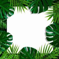 creative layout of tropical leaves Background with white square frame, flat lay photo