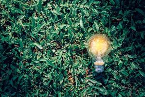 Bombilla de luz de primer plano sobre fondo verde de la naturaleza foto