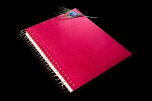 A beautiful peacock feather on a red velvet spiral notebook.