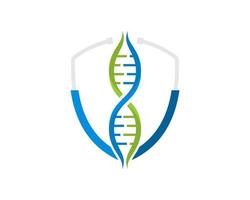 Stethoscope shield with DNA symbol inside vector
