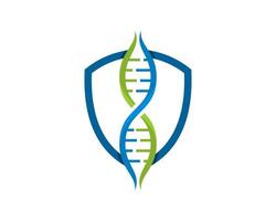 Simple shield with DNA symbol inside vector