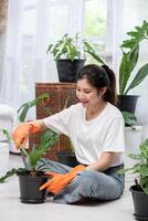 The woman wore orange gloves and planted trees in the house. photo