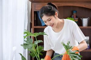 The woman wore orange gloves and planted trees in the house. photo