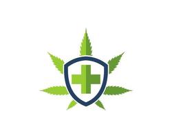 hoja de cannabis con escudo y cruz médica en el interior vector