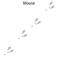 mouse steps, footprint, trail. squirrel tracks. Typical footprints vector