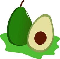 Avocado fruit white background vector