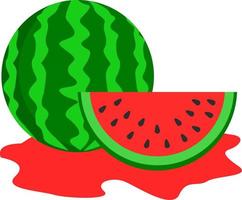 Water melon with juice on the bottom vector