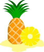 Fresh pineapple with juice on the bottom vector