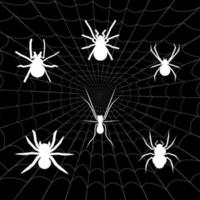 white spider logo collection with spider web background vector