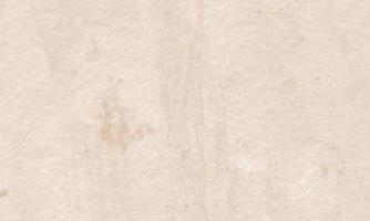 Blank white paper texture background. surface of white material for backdrop. photo