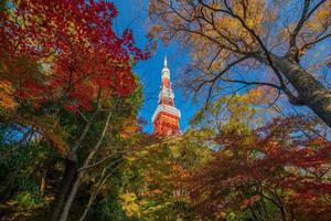 Tokyo Tower with blue sky in Japan photo