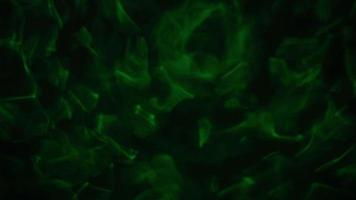 imágenes submarinas borrosas. luz de color en la superficie del piso debajo de la ondulación del agua. video