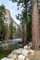 A look at Yosemite USA in 2017 photo