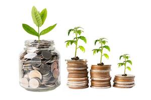 Ahorre el árbol del dinero que crece en las monedas de la pila, concepto del negocio de la inversión de las finanzas empresariales. foto
